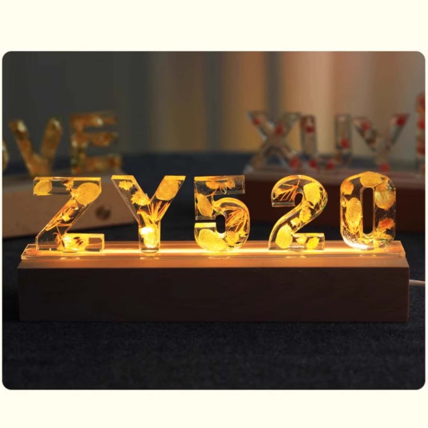 Personalize Gift Custom Flower Letter Mold Flower Resin Night Light